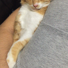 ▶︎爆睡の画像