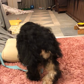 天才かも(♡︎´艸`)の画像