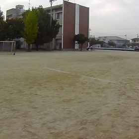 どこでも集まりますねの画像