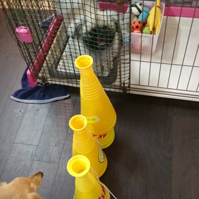 プレイボール！の画像