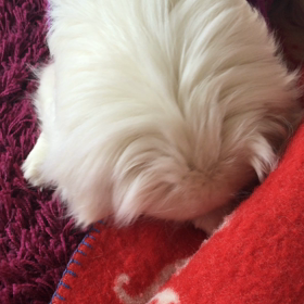 イライラ〜の画像