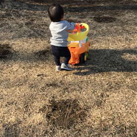 最近のいろいろの画像