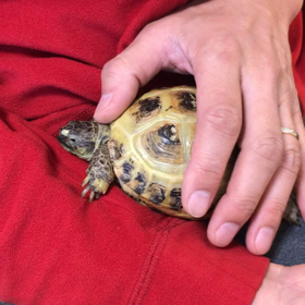 いいこ、いいこして〜の画像