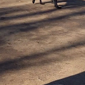 凍結｡｡｡の画像