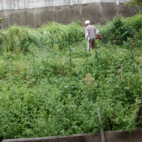 草刈機による騒音嫌がらせの画像