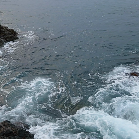 さて……の画像