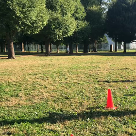 1000m 記録会 第１組⑦の画像