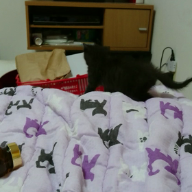 今日も元気いっぱいの画像