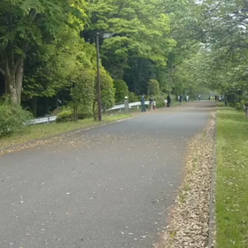 リレー選考会(男子)ゴール付近④の画像