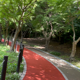 蝉の声を聞きながら散歩の画像