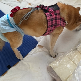 意識がハッキリしないの画像