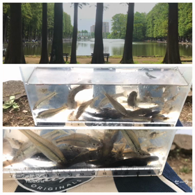 朝活、釣りの画像