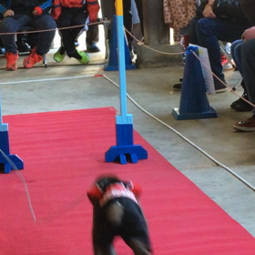 さぁ、次！の画像