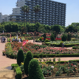 今朝の長女は 声が出てない…の画像