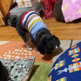 スリスリの画像