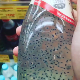 フンちゃん、チアシード飲んだ❓の画像