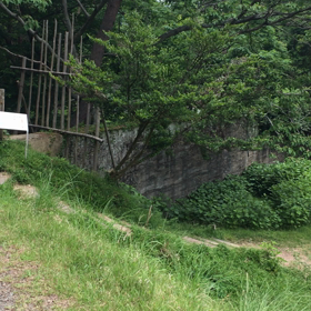 水と冒険の広場 アスレチックの画像