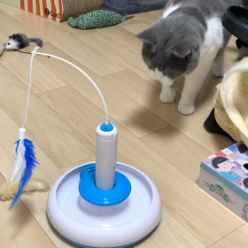 新しいおもちゃの画像