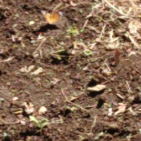 何してるの？の画像