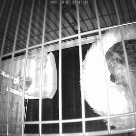 10年ぶりの強い地震の画像