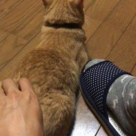 幸せな時間の画像