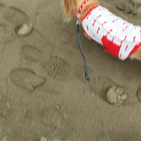 果たせなかった約束・・・の画像