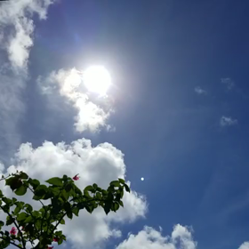 夏の音とそうめんぱーりー(夏な動画あるよ)の画像