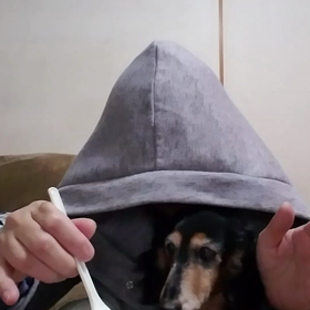 動画はこちらの画像