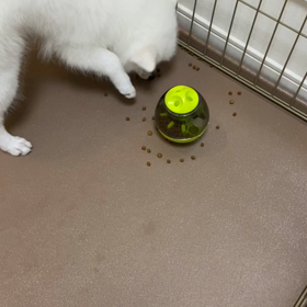 早食い防止の画像