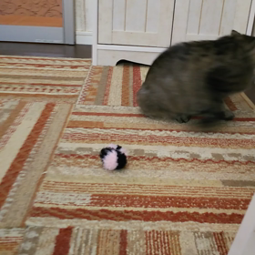 うーん、、の画像