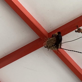 人の悩みというものはの画像