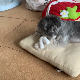 貸してよーの画像