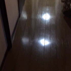 なずなのお留守番の画像