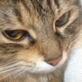 どあっぷ♪♪の画像