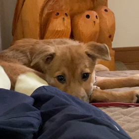 みなとくん７日目　ひきこもりを脱する、か？！の画像