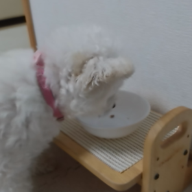 食欲旺盛の画像