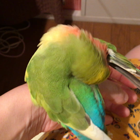 ★綺麗好きの画像