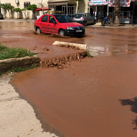 雨に弱いモロッコの画像