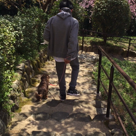 お参りと桜とワンワンとの画像