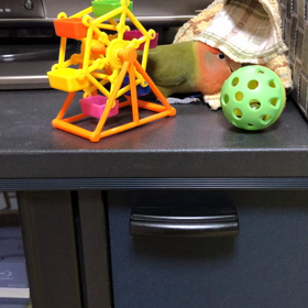 ライタリアンレイキ　レベルⅣの画像