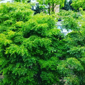 持ち主さまが幸せに生きるために天然石は活躍します！！の画像