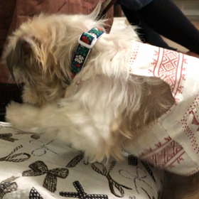 まるちゃんの運動TIMEの画像