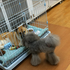 最初で最後の…♡の画像