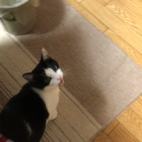 あーそーぼーby党首の画像