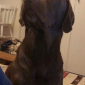 抱っこを求めての画像