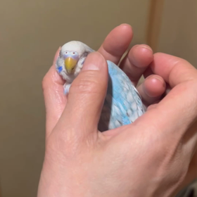 今年一年ありがとうございました！！の画像