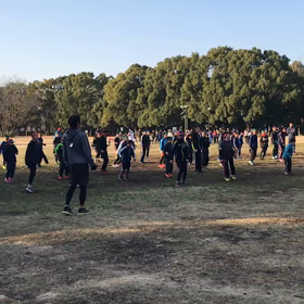 高速クロスの画像