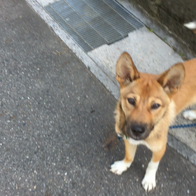 憲俊です。〜たびたび〜の画像