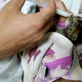 一夜開けて。の画像