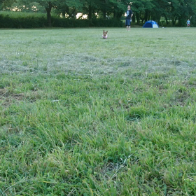 今日も、公園へ☆の画像